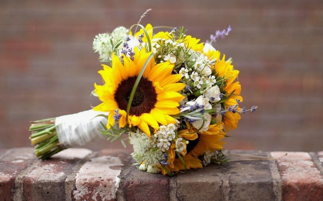 The Sunflower: A Bright Summer Icon with Deep Symbolism